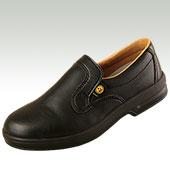 ESD/ EPA footwear